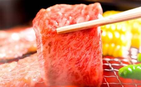 【和牛セレブ】神戸牛焼肉（ 焼きすき ）ブリスケスライス 約600g 牛肉 肉 牛 神戸ビーフ 冷凍 神戸牛 焼肉 にく ニク ブリスケ スライス