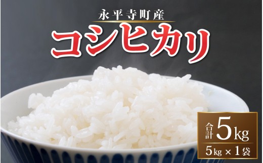 【白米】 令和７年度産 永平寺町産 コシヒカリ 5kg 米 精米 米 お米 コメ 送料無料 こしひかり 福井 [A-033002]