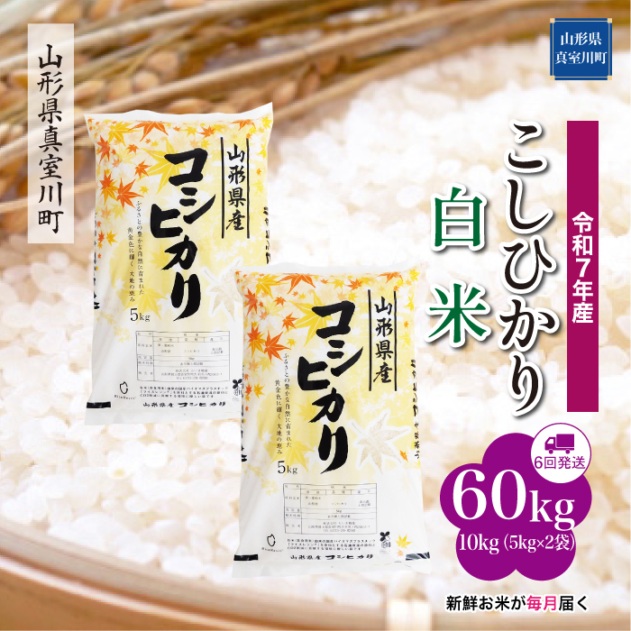 ＜令和7年産米＞ こしひかり 【白米】60kg定期便(10kg×6回)　配送時期指定できます！ 山形県真室川町