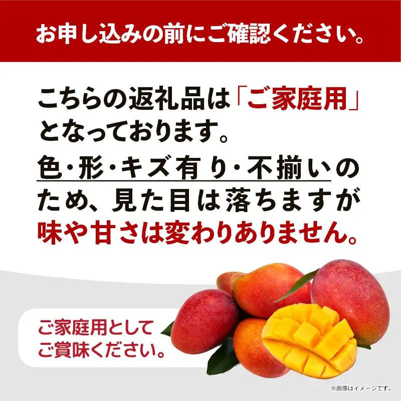 【先行受付】【2026年発送】なか果樹園 アップルマンゴー 家庭用 約2kg （白箱）- 産地直送 先行予約 沖縄県産 ご自宅用 南国フルーツ 旬の味覚 オススメ 沖縄県 八重瀬町