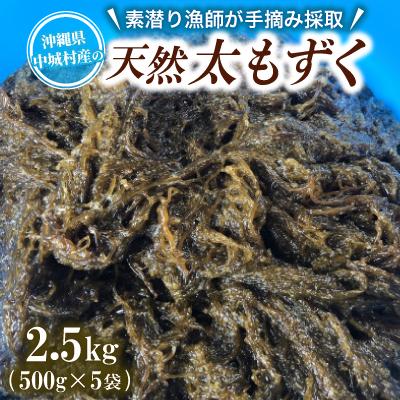 ふるさと納税 中城村 【数量限定・産地直送】素潜り漁師が手摘み採取!幻の天然もずく 塩蔵2.5kg(500g×5袋)