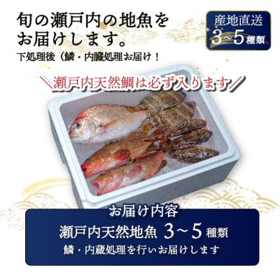 ふるさと納税 三原市 瀬戸内産 鮮魚 地魚詰め合わせ 瀬戸内天然鯛入り!(3〜5種類・下処理済)[154-003] |  | 03