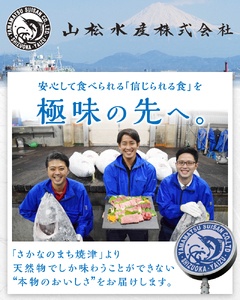 海からの贈り物 焼津天然まぐろ三昧(3回お届け)定期便 (a30-232)