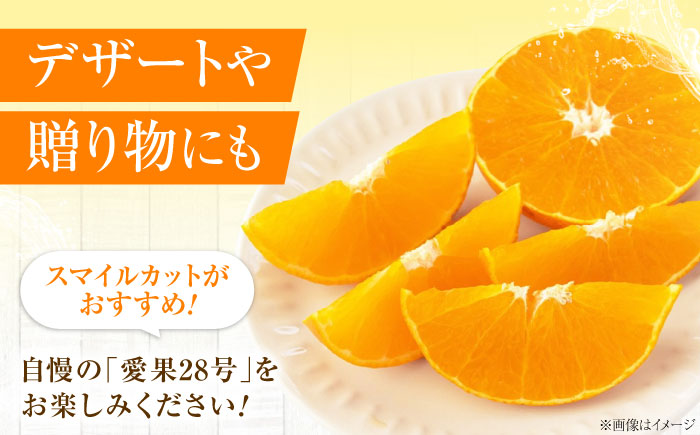 みかん 愛果28号 約2.7kg M-Lサイズ【12月上旬から2月下旬まで順次発送】 / フルーツ 果物 蜜柑 ミカン オレンジ 甘い 先行予約 約 3kg 愛媛 / 愛媛県砥部町/西岡さん家のみかん