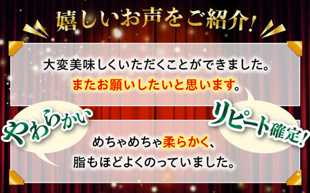 長崎和牛 牛肉切り落とし 1kg 国産 冷凍 おすすめ 牛肉切り落とし QBS006