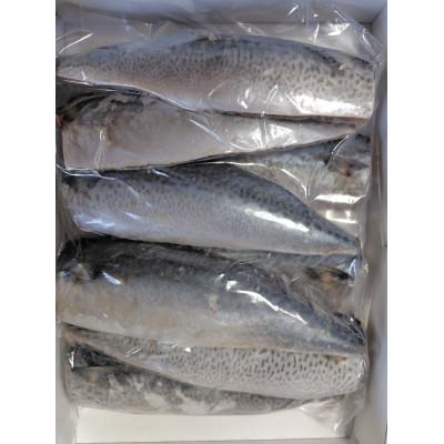 ふるさと納税 宮古市 国産さば　フィーレ・フィレ　1kg |  | 01