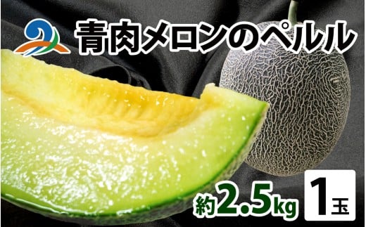 【先行予約】青肉メロンのペルル【2026年6月下旬から順次発送】ペルルメロン  青肉メロン  果物 予約 福井県 南越前町 フルーツ メロン めろん 青肉メロン 果物 くだもの 新鮮 さっぱり 爽やか 甘い 一苗 一玉  ２.5kg以上 XLサイズ お届け 産地直送 農家直送 国産 先行予約 数量限定 贈答用 手土産 ギフト 誕生日 送料無料 恐竜の卵