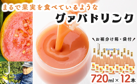 KU113 まるで果実を食べているような！グァバドリンク12本セット(各720ml)【宮崎果汁】