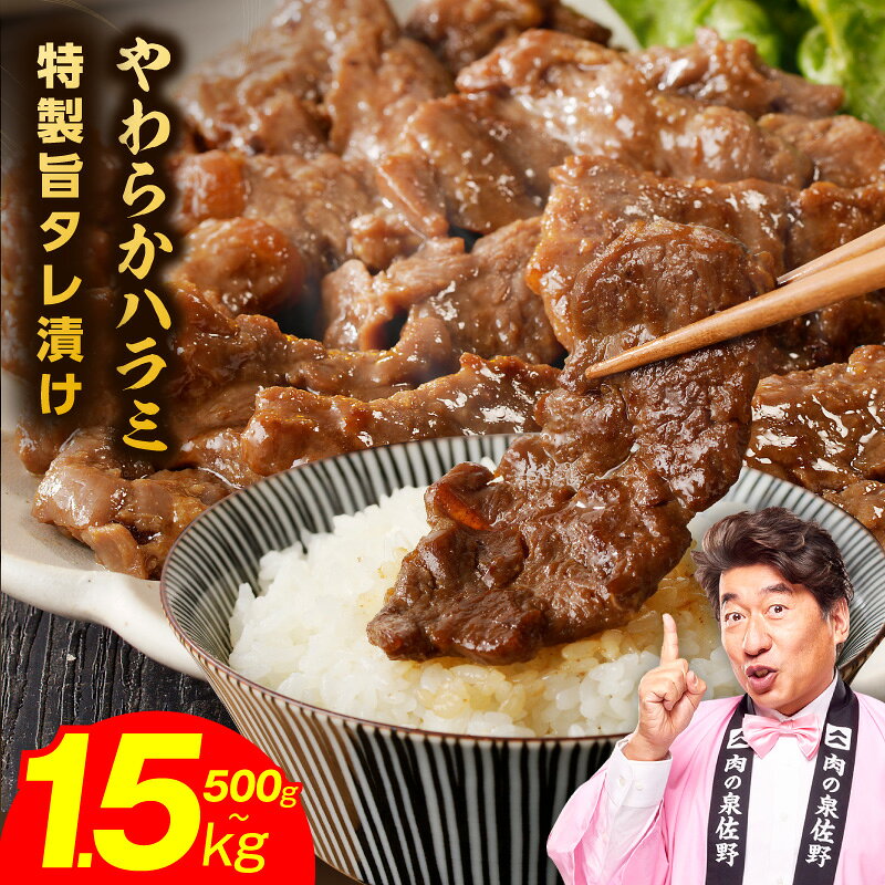 【ふるさと納税】やわらかハラミ 500g / 1kg / 1.5kg 特製旨タレ漬け 味付き 氷温熟成 極味付け 牛 ハラミ 不揃い タレ漬け 焼肉 BBQ 定番 牛肉 熟成肉 簡単調理 野菜炒め 小分け お取り寄せ 発送月 大阪府 泉佐野市 肉の泉佐野 訳あり 年内発送