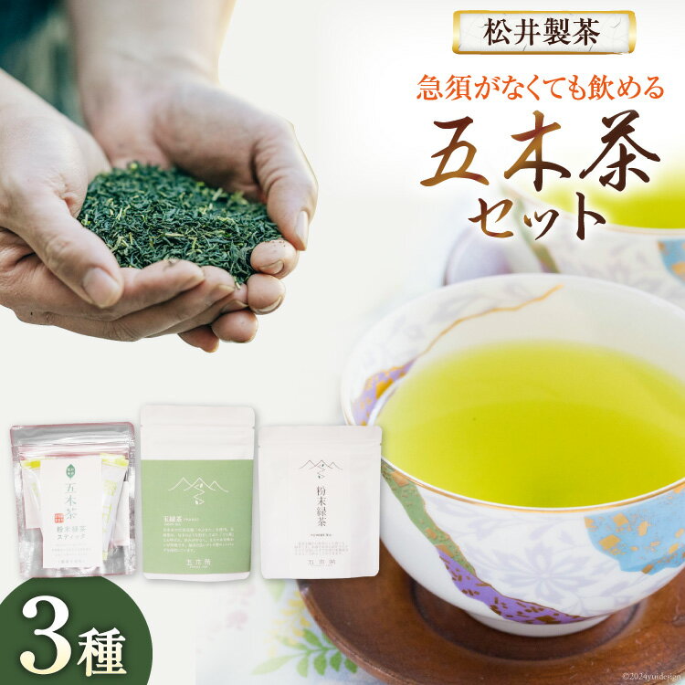 【ふるさと納税】 【栽培期間中農薬不使用・化学肥料不使用】 お茶 緑茶 急須がなくても飲める 五木茶 セット [松井製茶 熊本県 五木村 51120226] 小分け 個包装 粉末 ティーパック ティーバッグ スティック