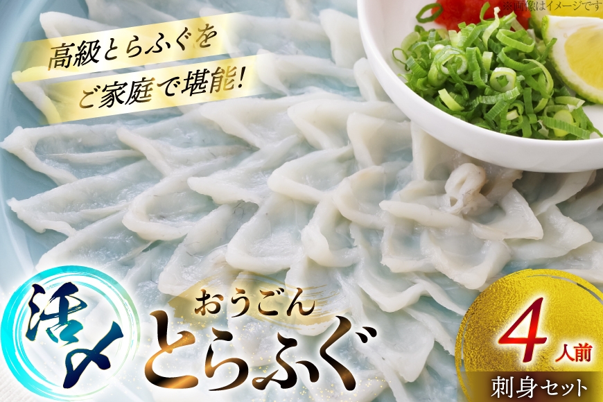 
                  ふぐ 刺身 セット 活〆 おうごんとらふぐ 刺身セット 4人前 [松永水産 長崎県 平戸市 hr42bvj550040] ふぐ刺し とらふぐ フグ 河豚 てっさ 魚介 さかな お刺身 刺身用 さしみ 冷凍 湯引き 海鮮 切り身
                