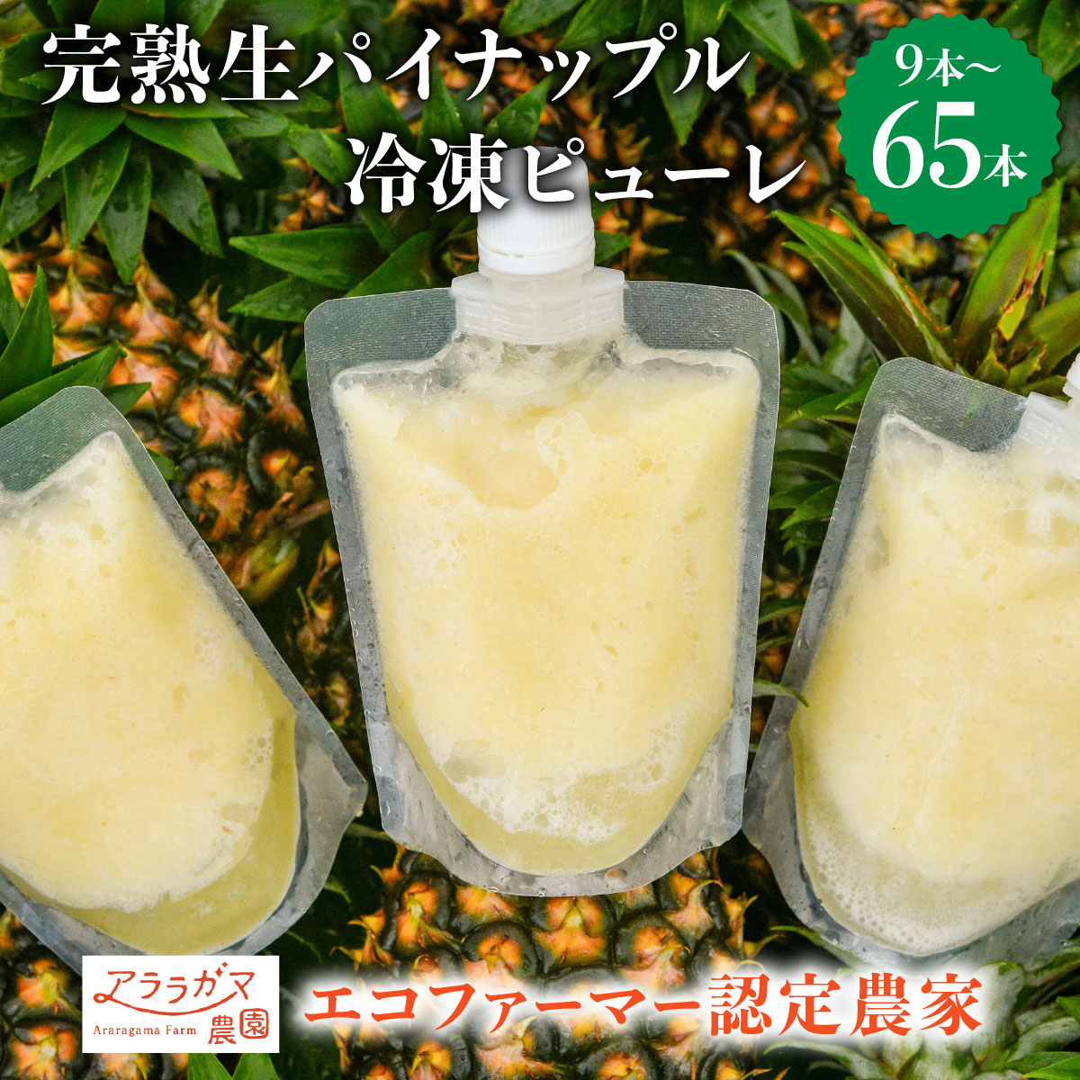 【ふるさと納税】【内容量が選べる】水なし、加熱なし、砂糖なし！天然まるごと！完熟生パイナップル冷凍ピューレ200ml×9〜65本セット【果物詰合せ フルーツ ピューレ】