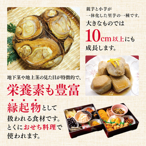 【伝統のいも】先行受付！ 令和8年11月中旬頃順次発送 天龍村・坂部地区の八つ頭とエゴマのセット