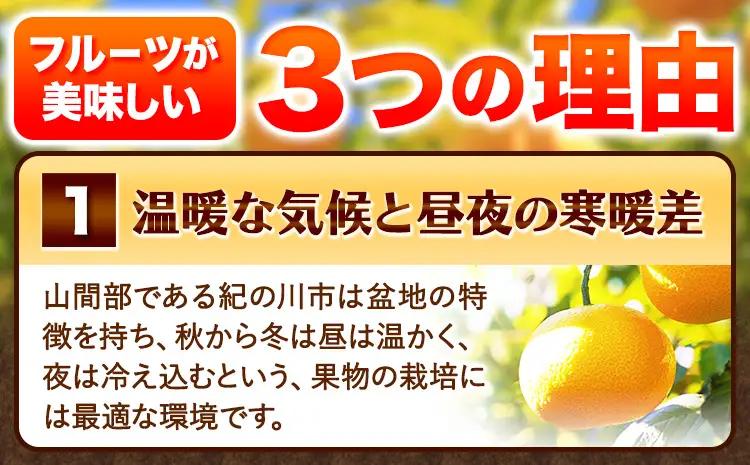 ご家庭用はっさく八朔約10kg