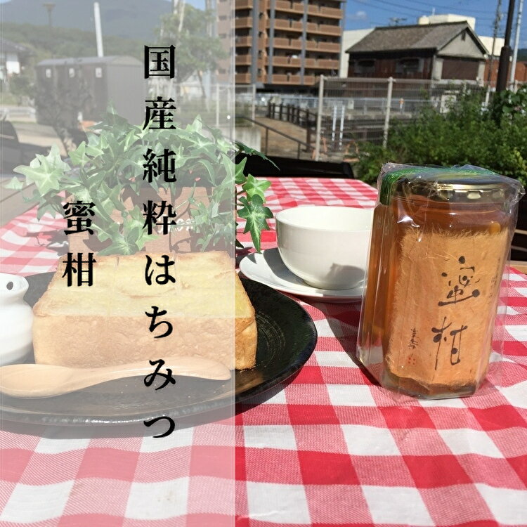 【ふるさと納税】 【 新蜜 】 はちみつ 国産 純粋 みかん 蜂蜜 400g × 2個 ハチミツ 合計 800g 完全無添加 | はちみつ 国産 純粋 みかん ミカン 蜜柑 蜂蜜 400g × 2本 b-172