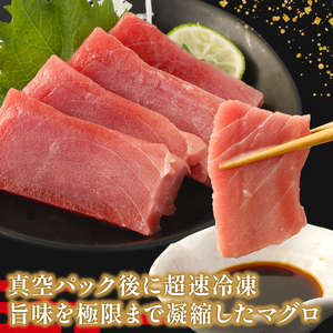 【数量限定】 厳選 天然 本マグロ 大トロ 1kg以上 国産 マグロ 鮮魚 魚 刺身 刺し身 漬け丼 海鮮丼 おかず 魚介類 海鮮 海産物 まぐろ 本まぐろ 鮪 ブロック  惣菜 冷凍 美阿丸 高知県