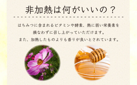 はちみつ 蜂蜜 非加熱 500g 倒立チューブ 【 はちみつ 】