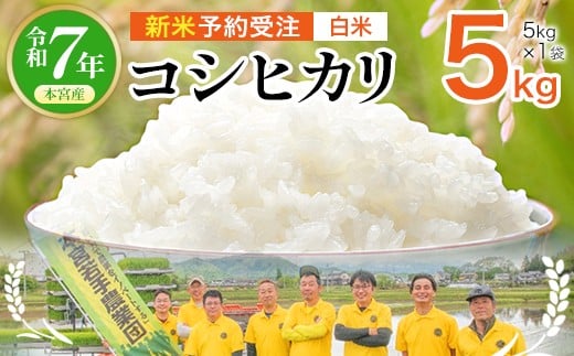 【令和7年産 新米予約受注】福島県産コシヒカリ5㎏（5kg×1）≪白米≫　【07214-0430】
