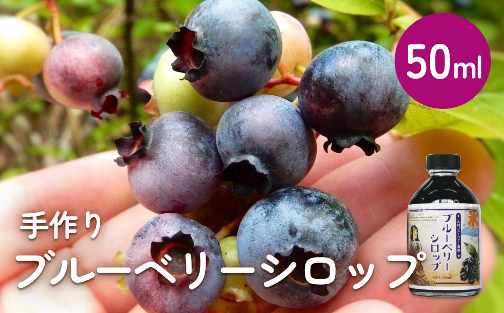 
                  ＜ 先行予約 ＞ ブルーベリー シロップ 50ml 手作り 果汁 フルーツ かき氷 カクテル アレンジ
                