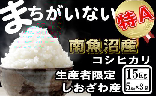 
            【令和7年産】生産者限定／契約栽培 南魚沼しおざわ産コシヒカリ15Kg（５Kg×3袋）【2025年10月上旬より順次発送予定】
          