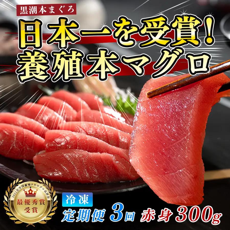 訳あり 不定貫 まぐろ マグロ 本鮪 黒潮本まぐろ 赤身 定期便 3回 300g × 3回 刺身 柵 冷凍 産地直送 (PT0080_0610)