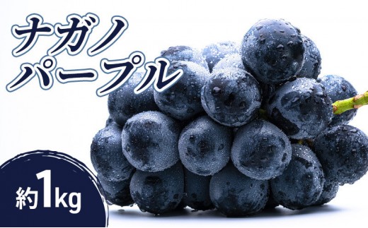 小松農園　2027年産先行予約ナガノパープル 1kg 果物 フルーツ ぶどう 長野県 |  ぶどう フルーツ 果物 人気 おすすめ ギフト プレゼント 送料無料 長野県 長野市 信州 信濃 ふるさと納税