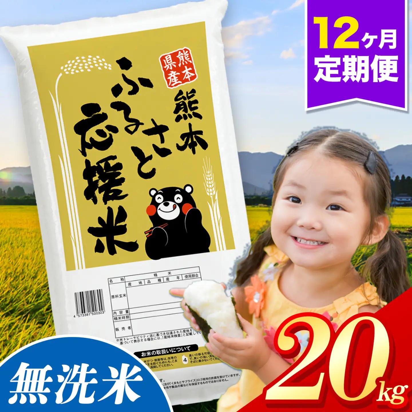 【12ヶ月定期便】米 無洗米 熊本 ふるさと応援 定期便 米  20kg