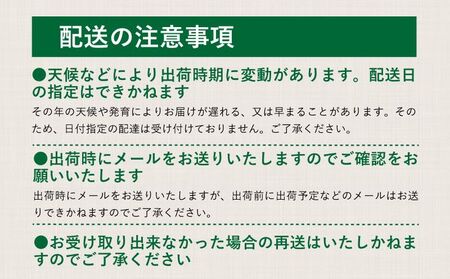 【2024年 先行予約】 産地直送 朝採れ！ 山梨県産 シャインマスカット ２房 (1.2kg以上！) |  山梨 ぶどう ブドウ 葡萄 シャイン 都留市人気返礼品！