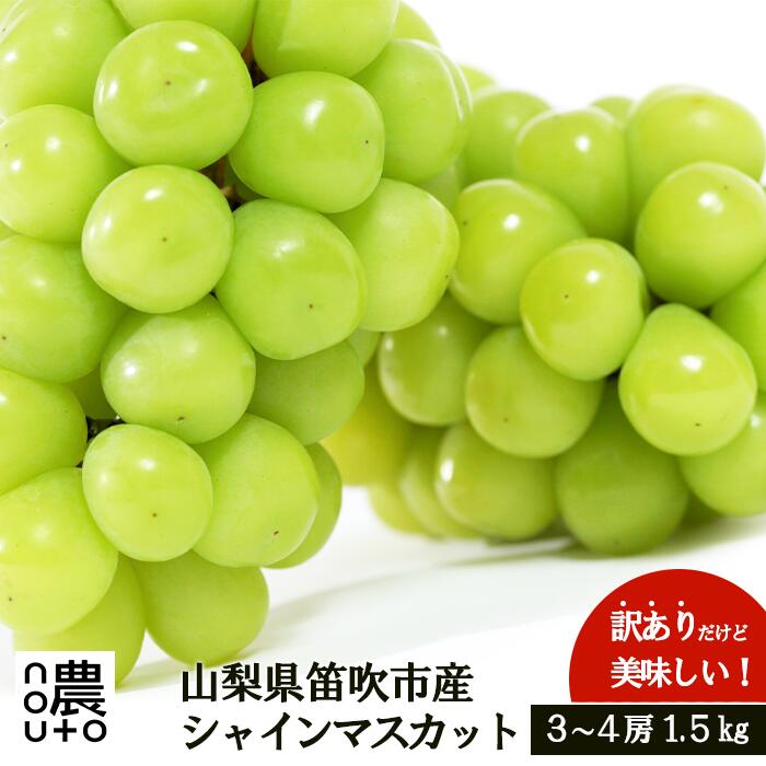 【ふるさと納税】＜2025年先行予約＞ 訳あり シャインマスカット1.5kg ふるさと納税 おすすめ シャインマスカット 笛吹市 国産 人気 期間限定 ぶどう ブドウ 葡萄 旬 果物 フルーツ 山梨県 154-044