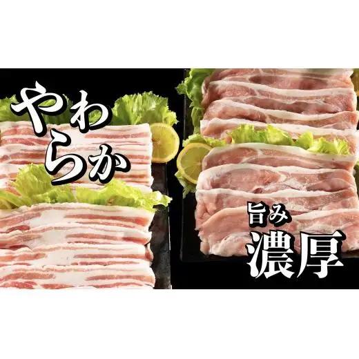長崎県産豚 モモ･バラスライス 2種食べ比べ 計1.3kg (モモ400g×2･バラ500g×1)