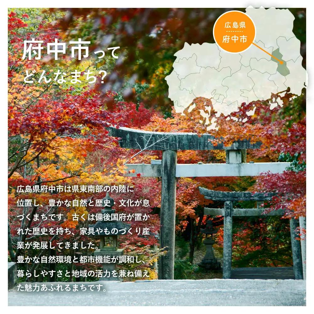 味みそセット No.008