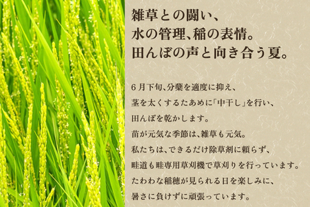 【定期便12ヶ月毎月お届け】新潟県産 新之助 玄米5kg 《5kg×1袋》 新潟 ブランド米 加茂市 加茂ユナイテッド