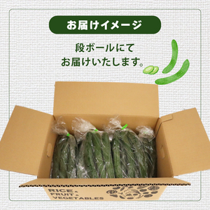 きゅうり 新鮮 朝採れ 18本入り きゅうり きゅうり きゅうり きゅうり きゅうり