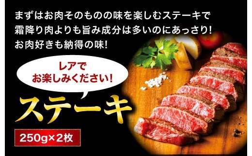 【熊本県産】 あか牛 を堪能できる ステーキ と ハンバーグ セット モモステーキ 250g×2枚 ハンバーグ 150g×10個 計2kg