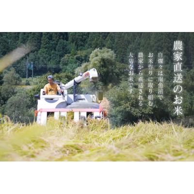 ふるさと納税 南魚沼市 【令和7年産新米】南魚沼君沢産こしひかり　白燦々10kg【玄米】(従来品種) |  | 01