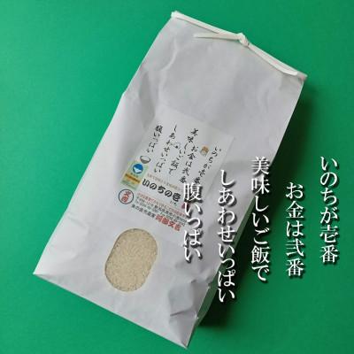 ふるさと納税 燕市 【7年産新米先行予約】大粒で甘味とうま味が際立つ「いのちの壱」精米5kg