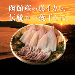 函館産 いか 味付け 一夜干し 9枚セット おつまみ_HD010-005