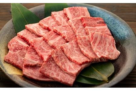 焼肉【産地直送】 丹波篠山牛 焼肉セット 1kg (5~7人前 ) 焼肉 AB22
