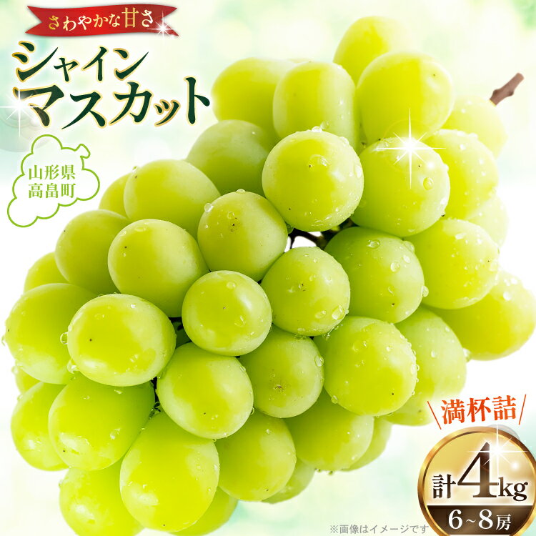 【ふるさと納税】 【期間限定発送】 シャインマスカット 山形県産シャインマスカット 4kg (6〜8房) [本田農園 山形県 高畠町 tk06ays820005] シャイン マスカット ぶどう 葡萄 ブドウ 果物 くだもの フルーツ 種無し