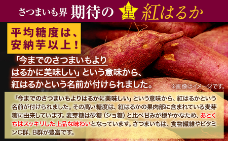  毎年大人気！ 紅はるか の 無添加 干しいも 1袋200g×3袋入り 計600g 《30日以内に出荷予定(土日祝除く)》株式会社アグリサポート美馬 徳島県 美馬市 送料無料 紅はるか べにはるか さ