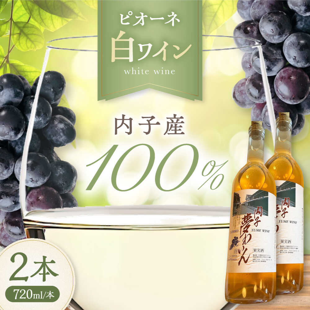 【ふるさと納税】内子夢わいん 白ワイン (ピオーネ) 約720ml 2本 / ワイン 白ワイン ピオーネ わいん wine お酒 酒 洋酒 愛媛県 愛媛 内子町 国産ワイン 日本ワイン 果実酒 送料無料 人気 家飲み 宅飲み 美味しい 【企業組合内子ワイナリー】[BKAG009] 20000 20000円 2万