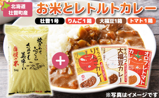 北海道壮瞥産　お米とレトルトカレー3種セット ふるさと納税 人気 おすすめ ランキング 北海道 壮瞥 米 レトルトカレー リンゴ 林檎 アップル 白米 大福豆 贈り物 贈物 贈答 ギフト 大容量 詰合せ セット 北海道 壮瞥町 送料無料 SBTA047