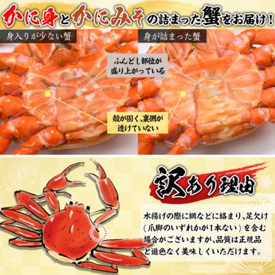 ふるさと納税 境港市 浜茹ベニズワイガニ足欠(2枚/計約800g)【7月-9月上旬発送不可】 |  | 02