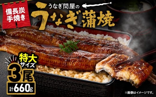 【期間限定】1745-1 うなぎ問屋の 備長炭手焼 うなぎ蒲焼 特大3尾660g　KN029-001-08-12