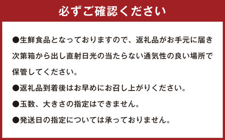 【訳あり】 ご家庭用 濃厚不知火 25～40玉 （ 約8kg ）【2027年2月下旬-3月上旬発送予定】デコポン みかん 柑橘 果物 フルーツ 熊本