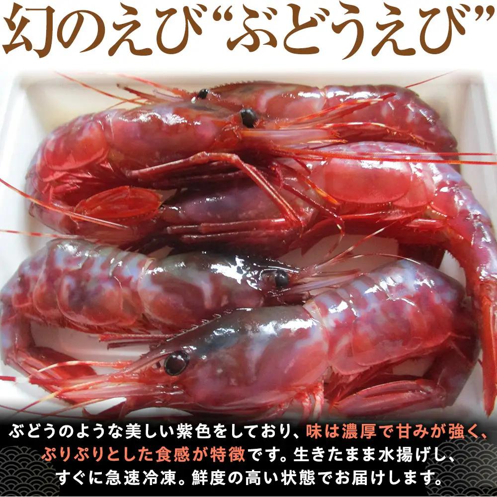 羅臼産 幻のぶどうえび（大・250g /4～6尾） 知床 ブドウエビ 北海道