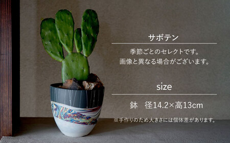 多治見市×春日井市コラボ 【美濃焼】 陶芸家「北川和喜」 marble 丸深鉢 L × 【日本有数のサボテンの生産地】 春日井市の名店 後藤サボテン 【井澤コーポレーション】[TBP173]