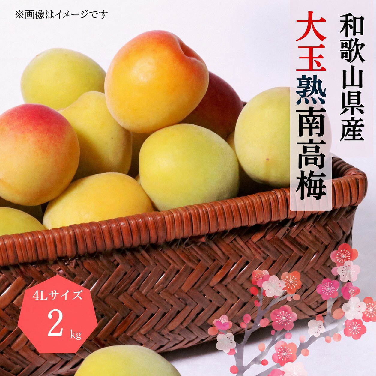 【ふるさと納税】 【梅干・梅酒用】大玉4Lサイズ2Kg熟南高梅 赤秀混合＜2027年6月上旬〜7月上旬ごろに順次発送予定＞ (お届け日指定不可)