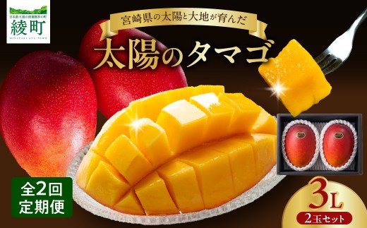 【全2回お届け】太陽のタマゴ 3L×2玉［T21］定期便 フルーツ 果物 くだもの 2027年 完熟マンゴー 国産 宮崎マンゴー マンゴージュース 南国フルーツ おすすめ デザート ギフト 贈り物 プレゼント 冷蔵 綾町 送料無料_A0113-011