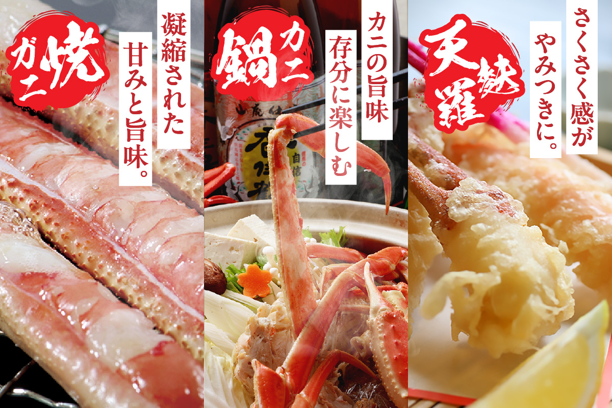 【香住ガニ 釜茹で ボイル 大きめ 約600g×2匹（約1.2kg以上）冷蔵】【先行予約】令和7年9月中旬以降順次発送予定 大人気 人気 ランキング ふるさと納税 返礼品 おすすめ 国産 しゃぶ かに